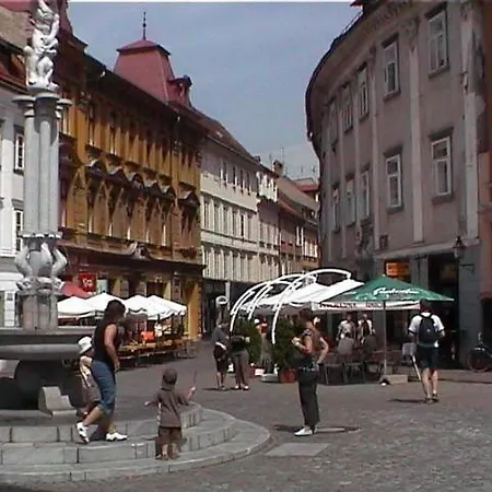 Rozika Slovenj Gradec
