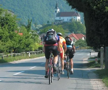 Rozika Appartement Slovenj Gradec