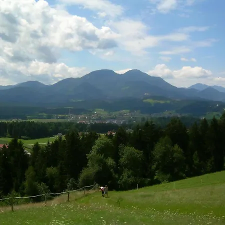 Rozika Slovenj Gradec